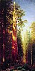 The Great Trees Mariposa Grove California by Albert Bierstadt
